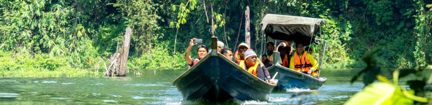 Belum Rainforest - Destinations in Malaysia - MalaysiaTours.com