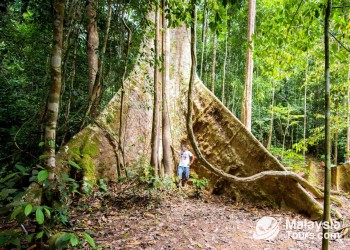 Highlights of West Malaysia: Kuala Lumpur, Taman Negara, and Perhentian Islands